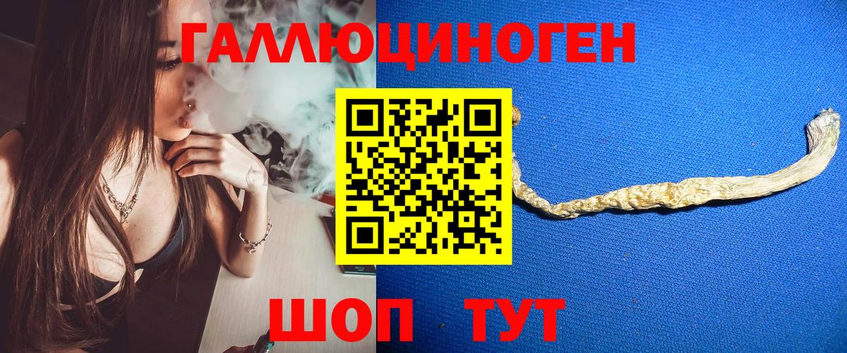 наркошоп  Вход с VPN  Дивногорск  Псилоцибиновые грибы MAGIC MUSHROOMS 